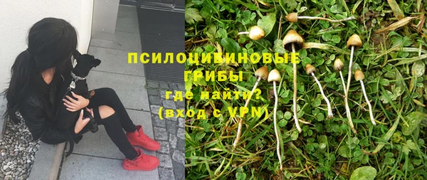 кристаллы Лагань