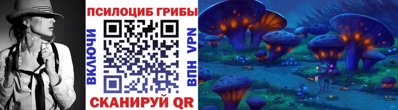 Псилоцибиновые грибы Psilocybine cubensis  Сясьстрой 