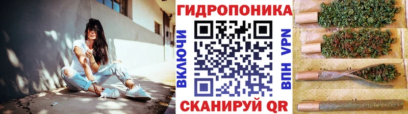 купить наркоту  ссылка на мегу ONION  Бошки Шишки тримм  Сясьстрой 